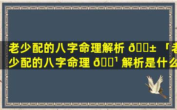 老少配的八字命理解析 🐱 「老少配的八字命理 🌹 解析是什么」